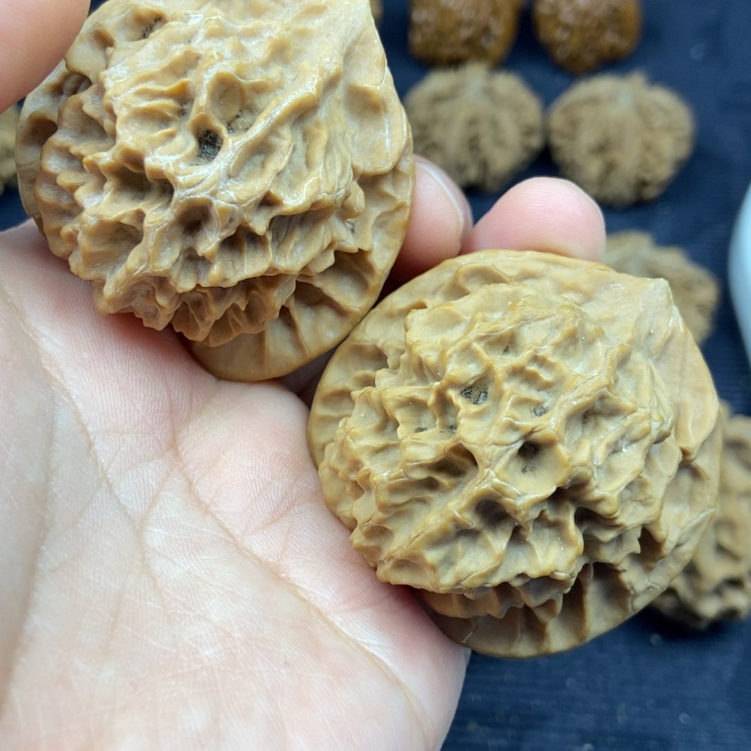 秦岭核桃帝王大花2号链接22222