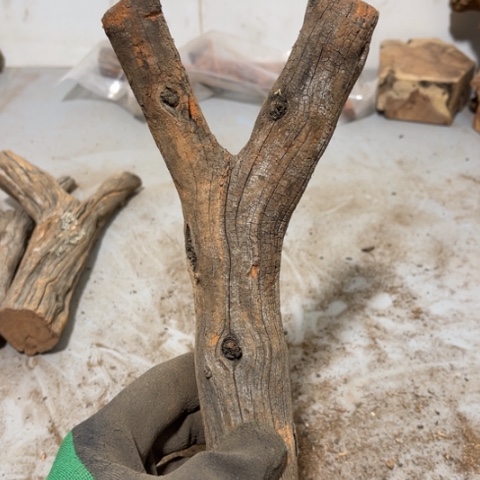 大果紫檀（缅甸花梨）一****龙