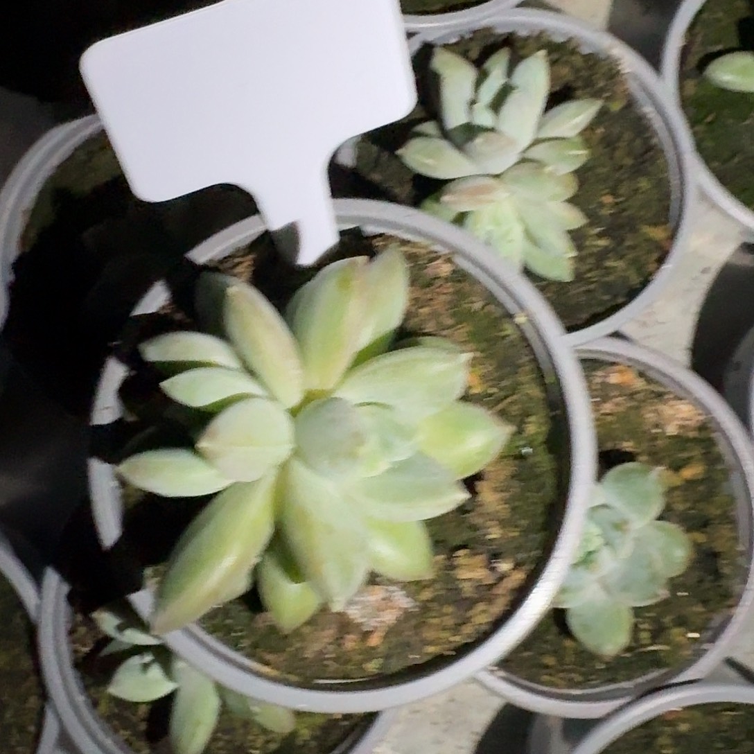 波光55555555555555