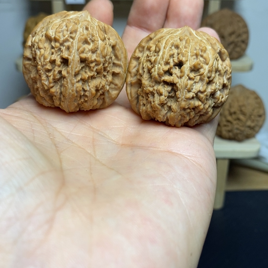 大叶紫檀（黑酸枝木类）39尺寸137一对