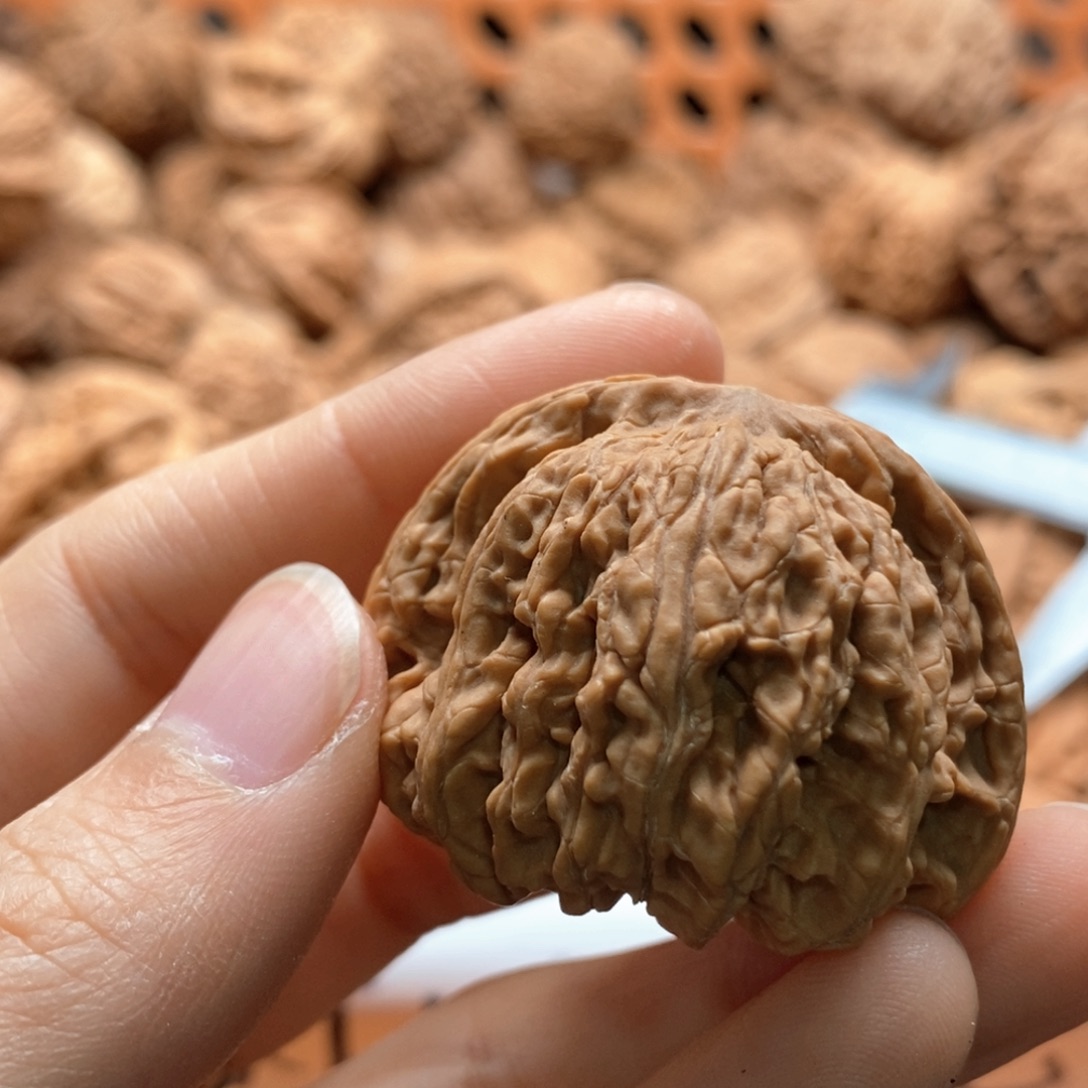 M***吴核桃定制商品不退不换