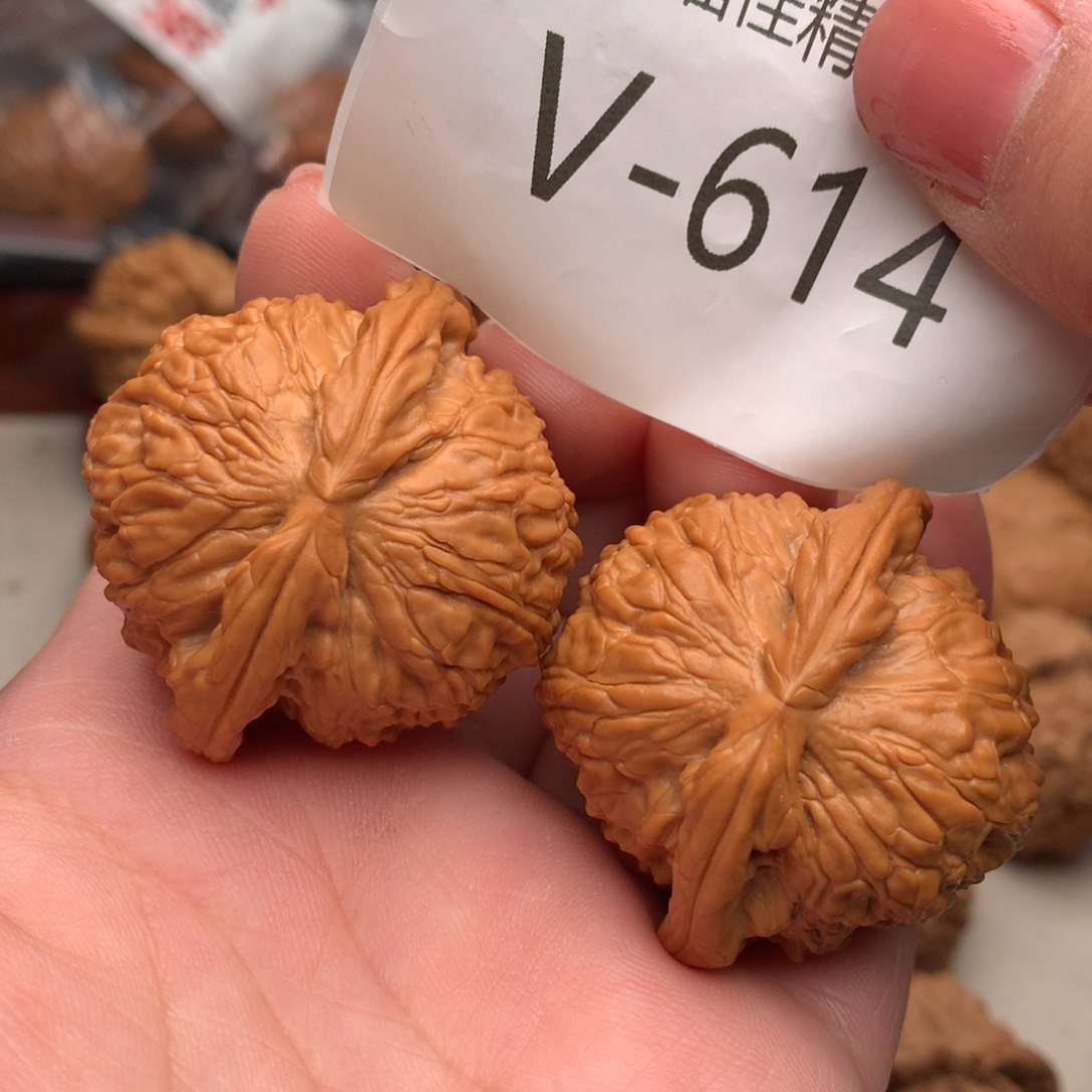 文玩核桃把件41白狮子………..