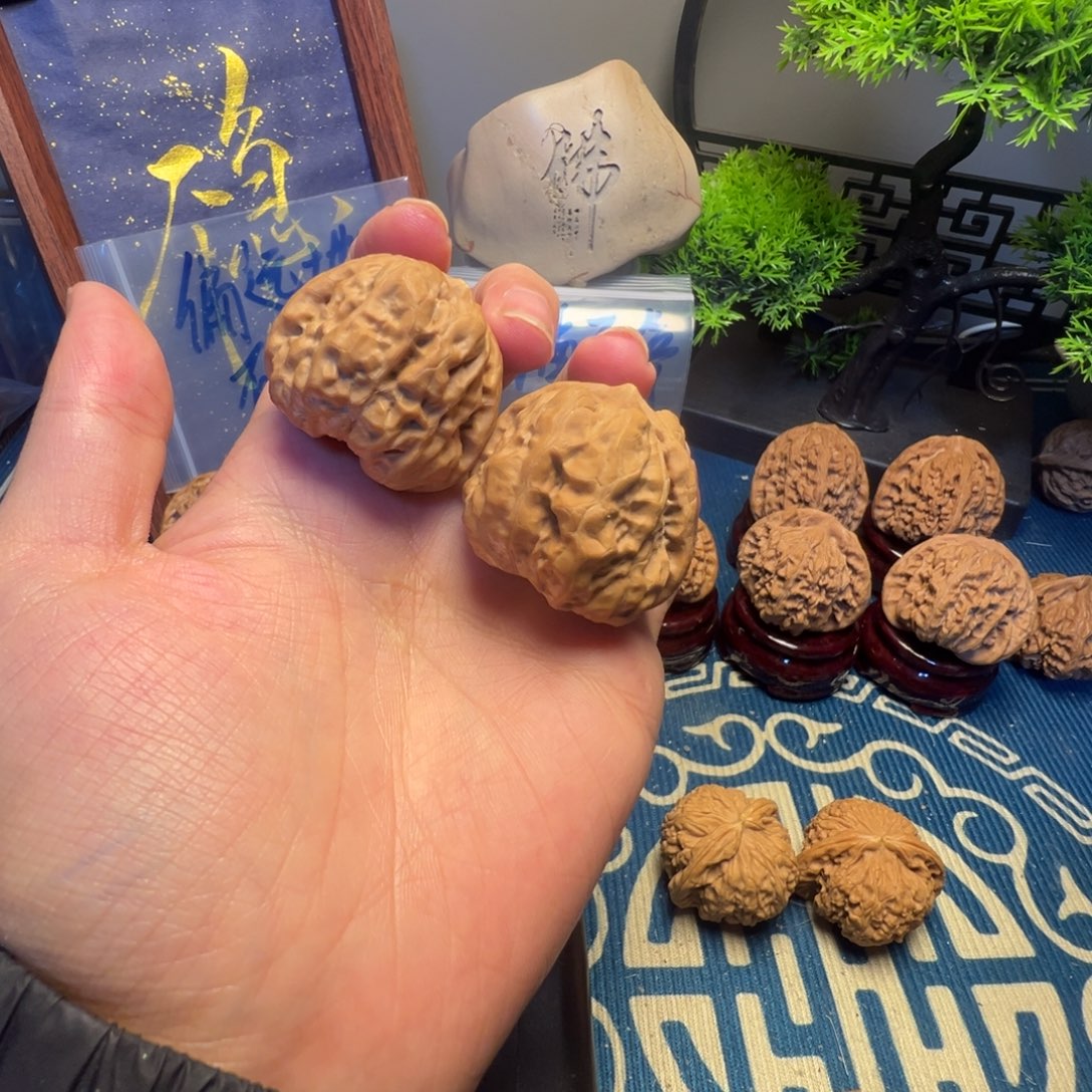 38尺白茬蛤蟆头核桃