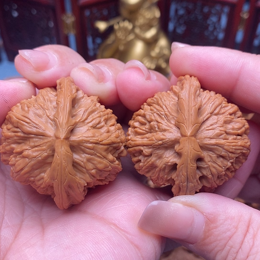 文玩核桃把件42精品毕业白狮子