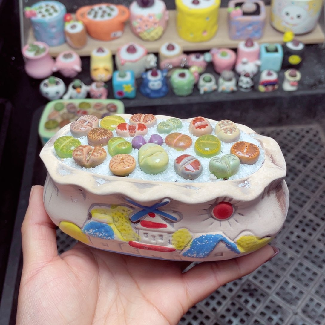 w9111 -零下地区拍保温箱-15支持寄养