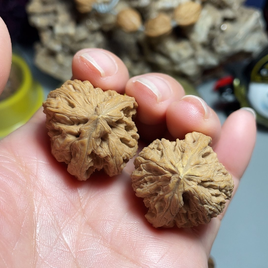 核桃手串/手链精品南疆异形