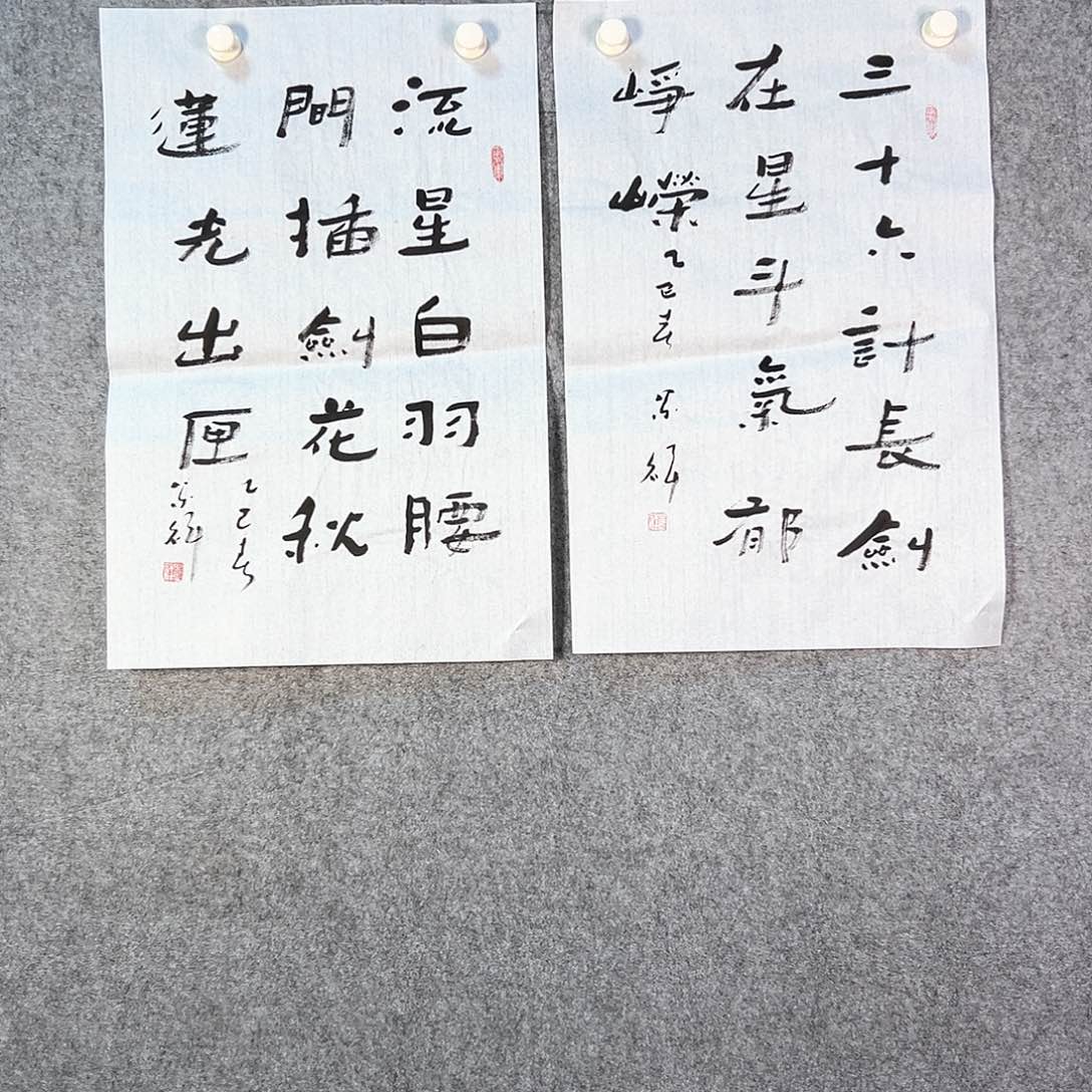 国画428 花鸟在这里生活很累