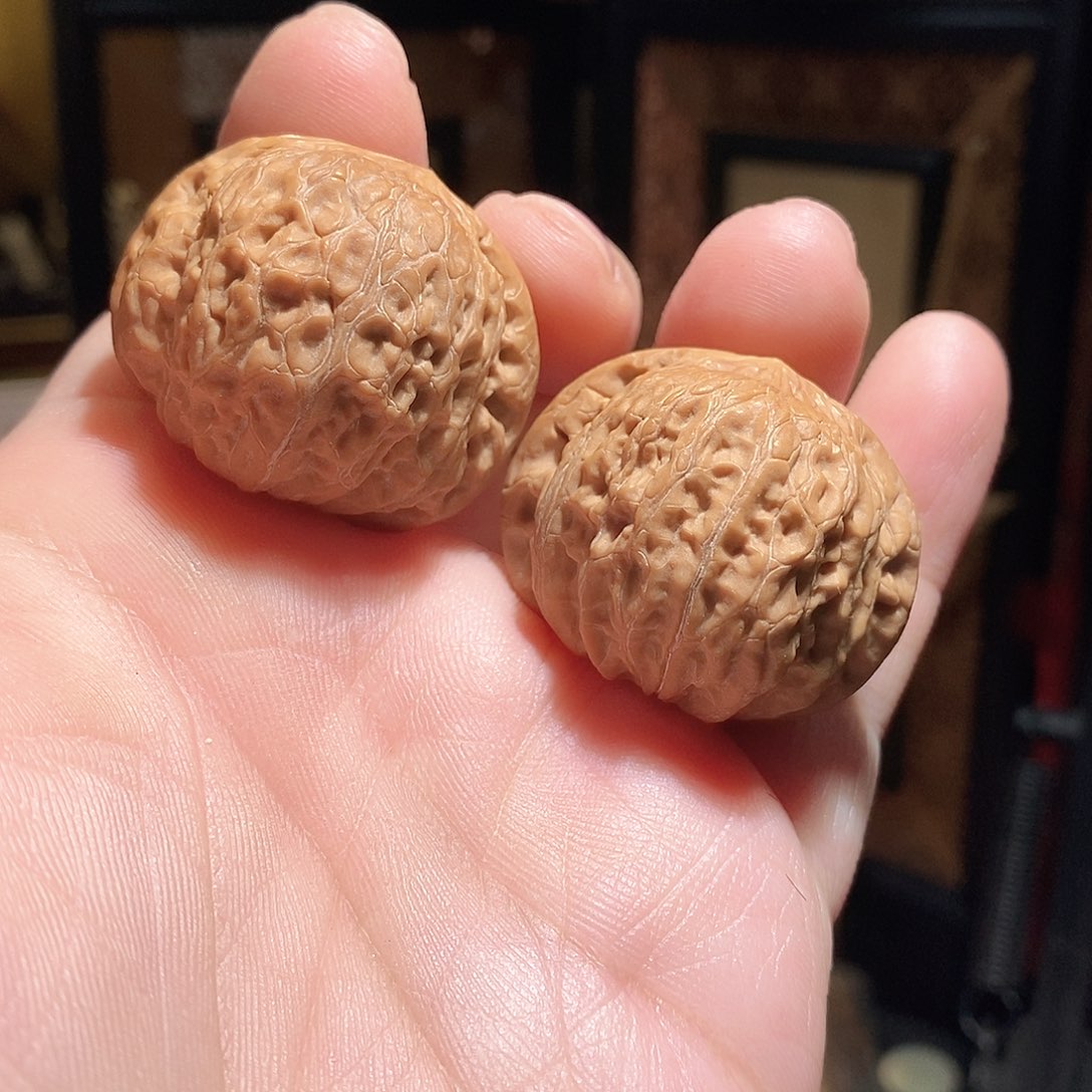 文玩核桃把件36铁锤