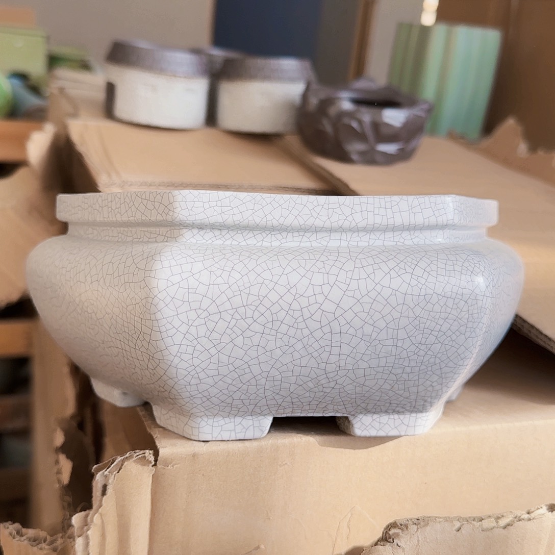 陶瓷花盆特价上新