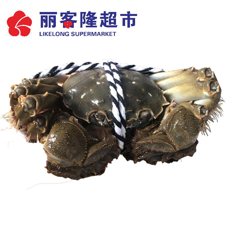 2.5母蟹/只
