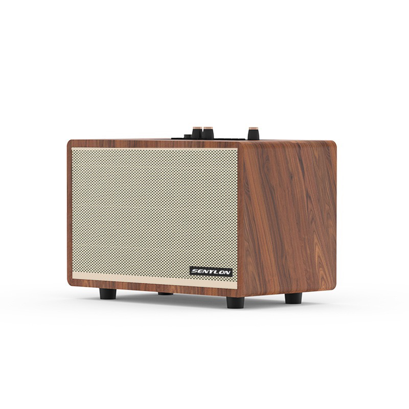 新品HIFI粉丝福利便携式蓝牙音响家用复古桌面新款K歌一体机音响