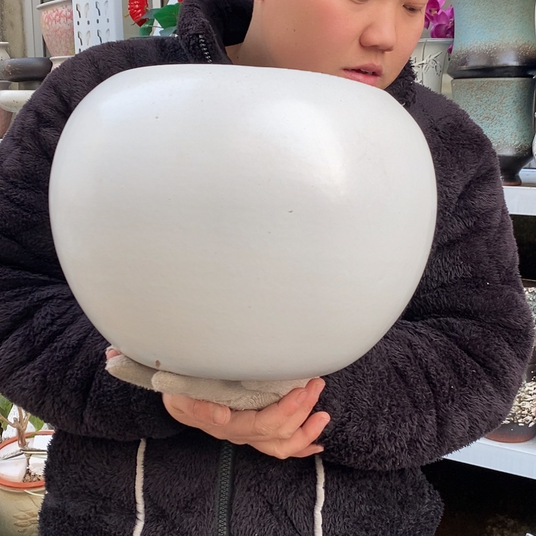 花盆紫砂口22高24福利