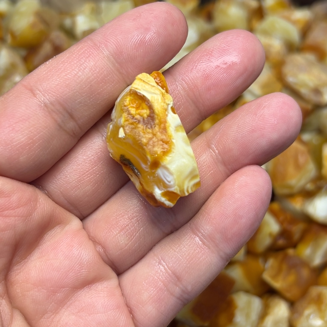 原***物定制琥珀未镶嵌圆珠