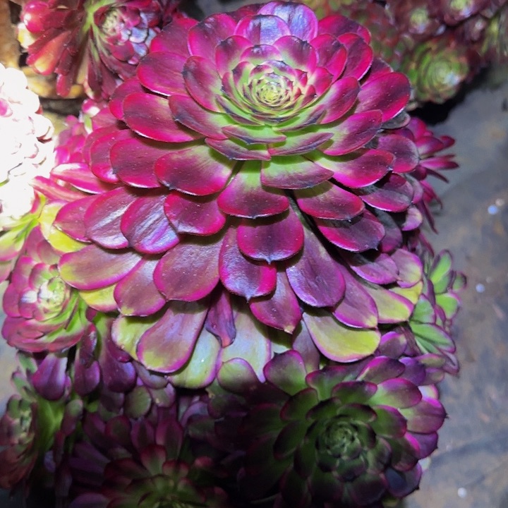 美姬老桩尾货清仓亏本福利