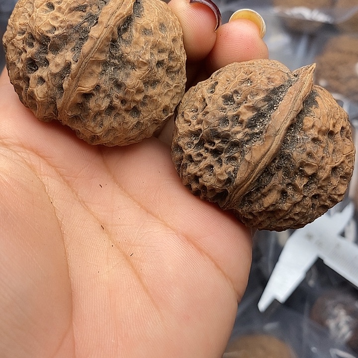 文玩核桃把件9号44mm