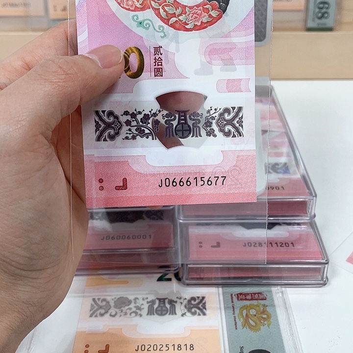 塑料蛇钞-5677————————