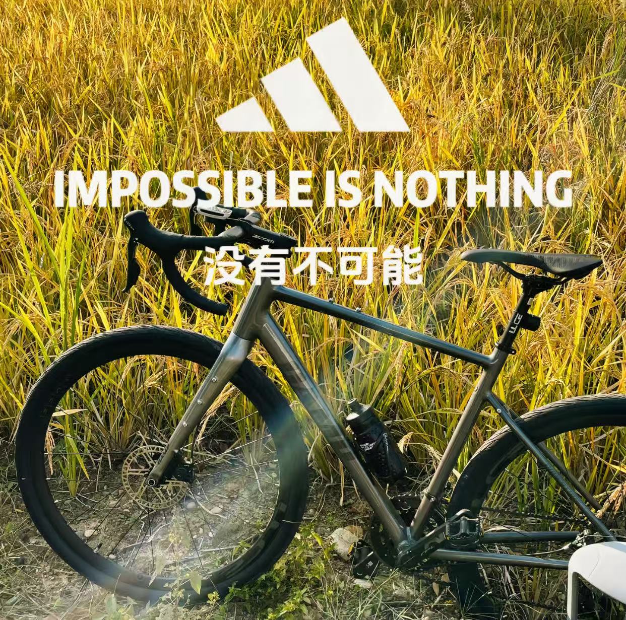 （1601-1800）芳芳专属服饰配件运动袜（默认微瑕库存，按编码下单）