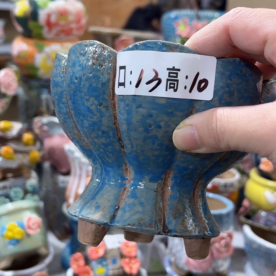 【闪购商品】红陶福利