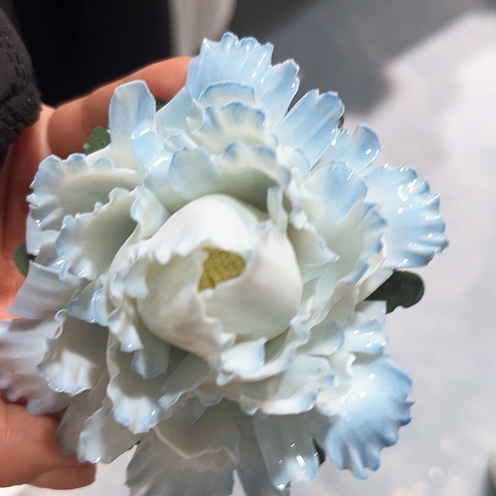 正品直发拍下备注颜色