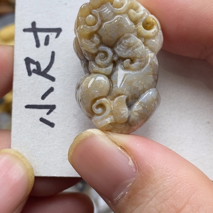 硅化珊瑚（珊瑚玉）未镶嵌颈饰