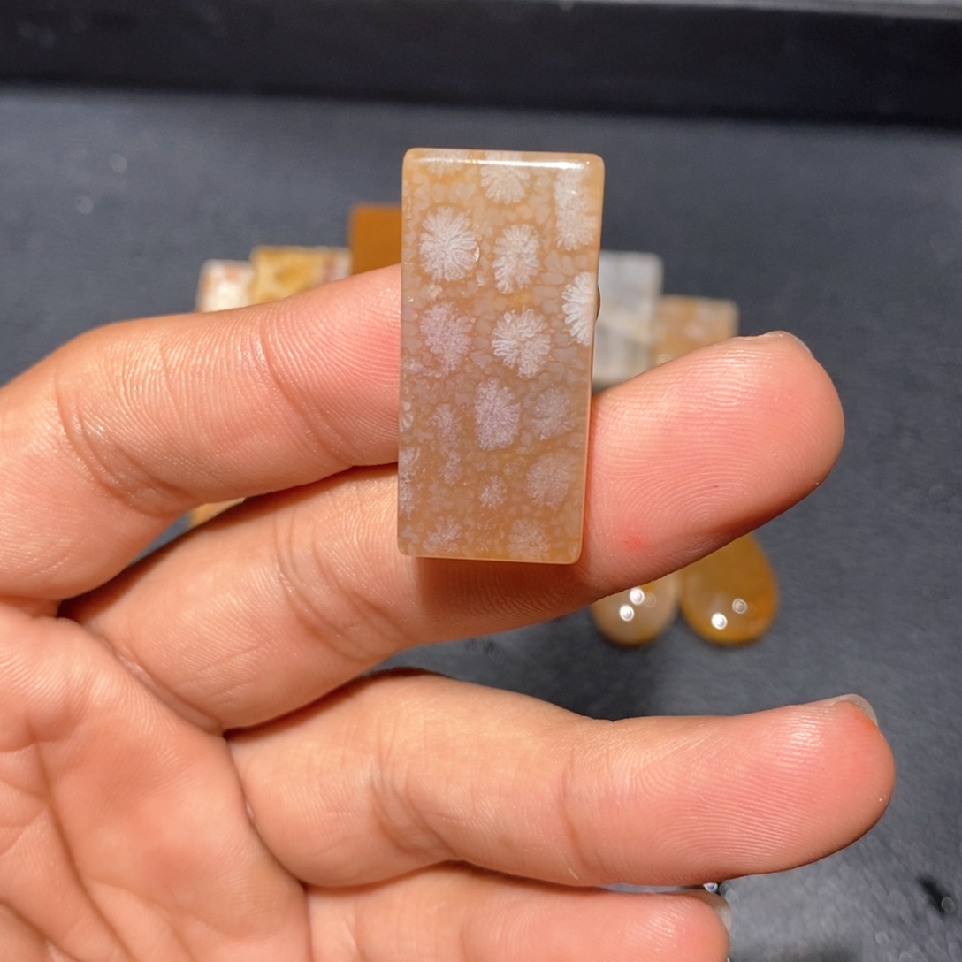 【闪购商品】硅化玉颈饰未镶嵌