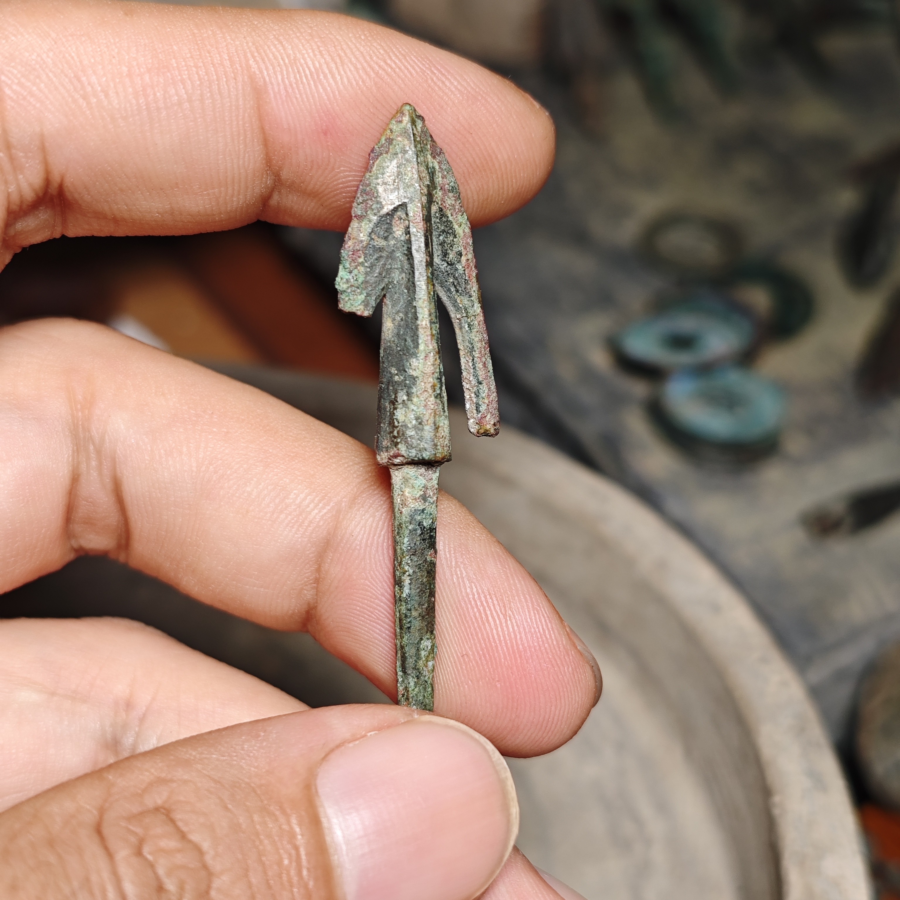 带杆春秋双翼（6.1cm）标本器。喜欢的可以拍了
