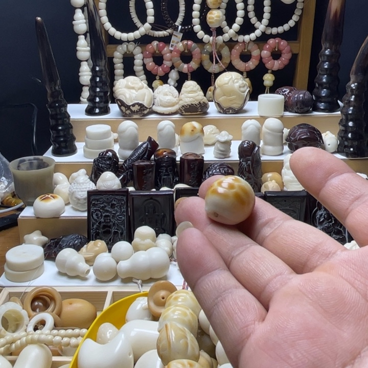 堇象牙果雕刻富甲