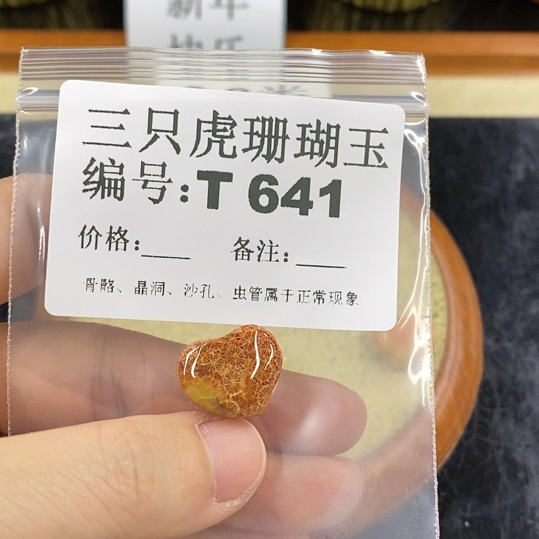 硅化珊瑚（珊瑚玉）1未镶嵌小*