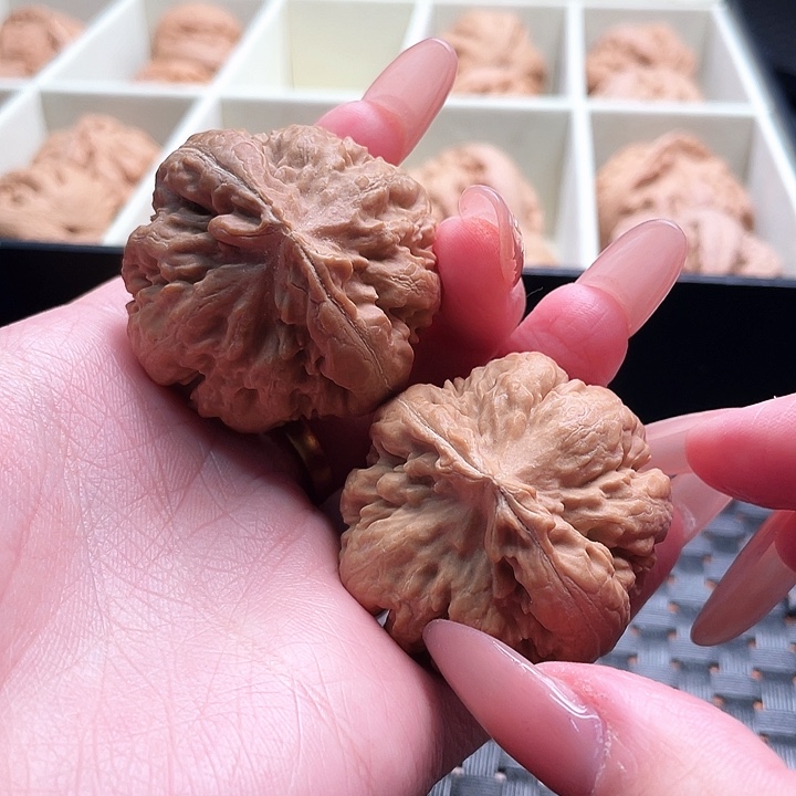 大***」霸王龙核桃尺寸39+