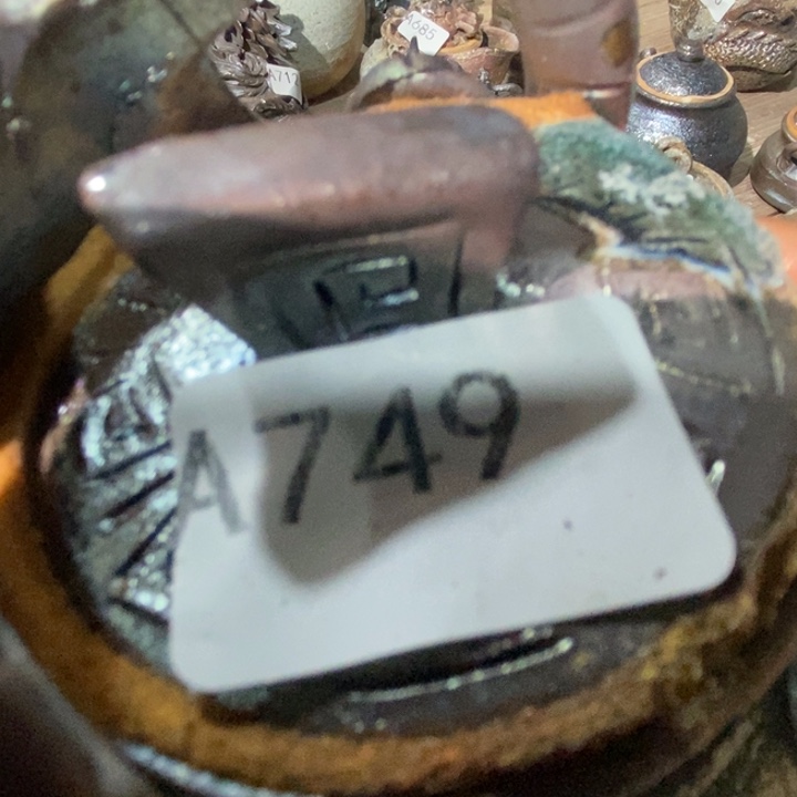 大***河柴烧裸烧源头产地