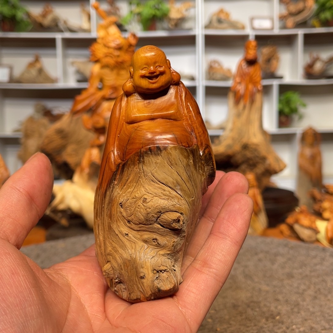 柏木（崖柏）5556666655556