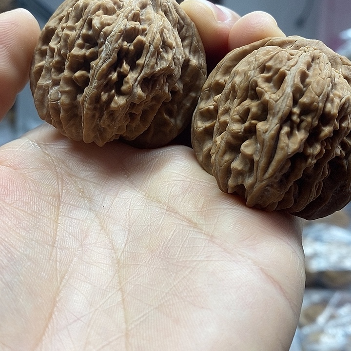 文玩核桃把件42四座楼老树