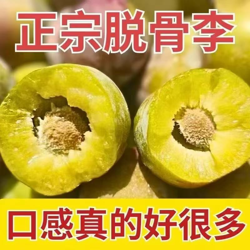 四川正宗脱骨李半边红茵红李新鲜现摘脆甜多汁应季水果5斤包邮