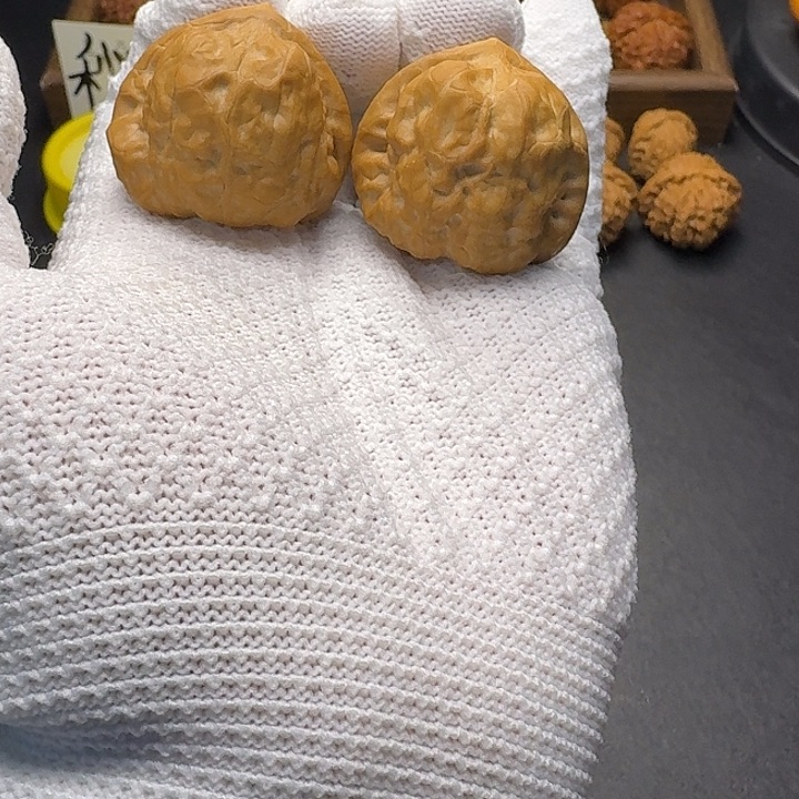 核桃闪电购36古蝉