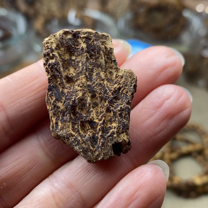 【闪购商品】沉香沉香碎屑斯里兰卡土沉九分沉