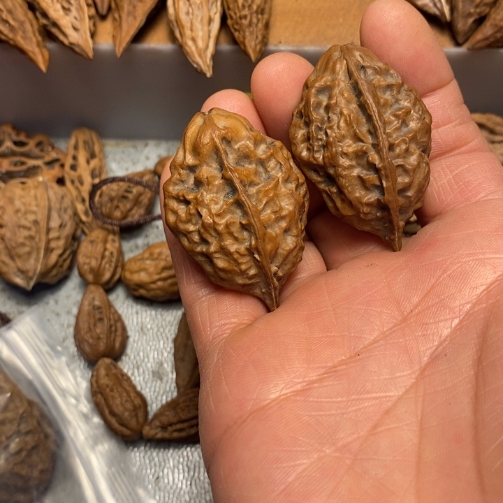 息***腔文玩核桃吊坠不错