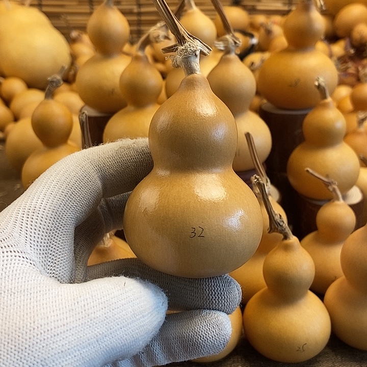 文玩葫芦 完美主义者 慎拍32