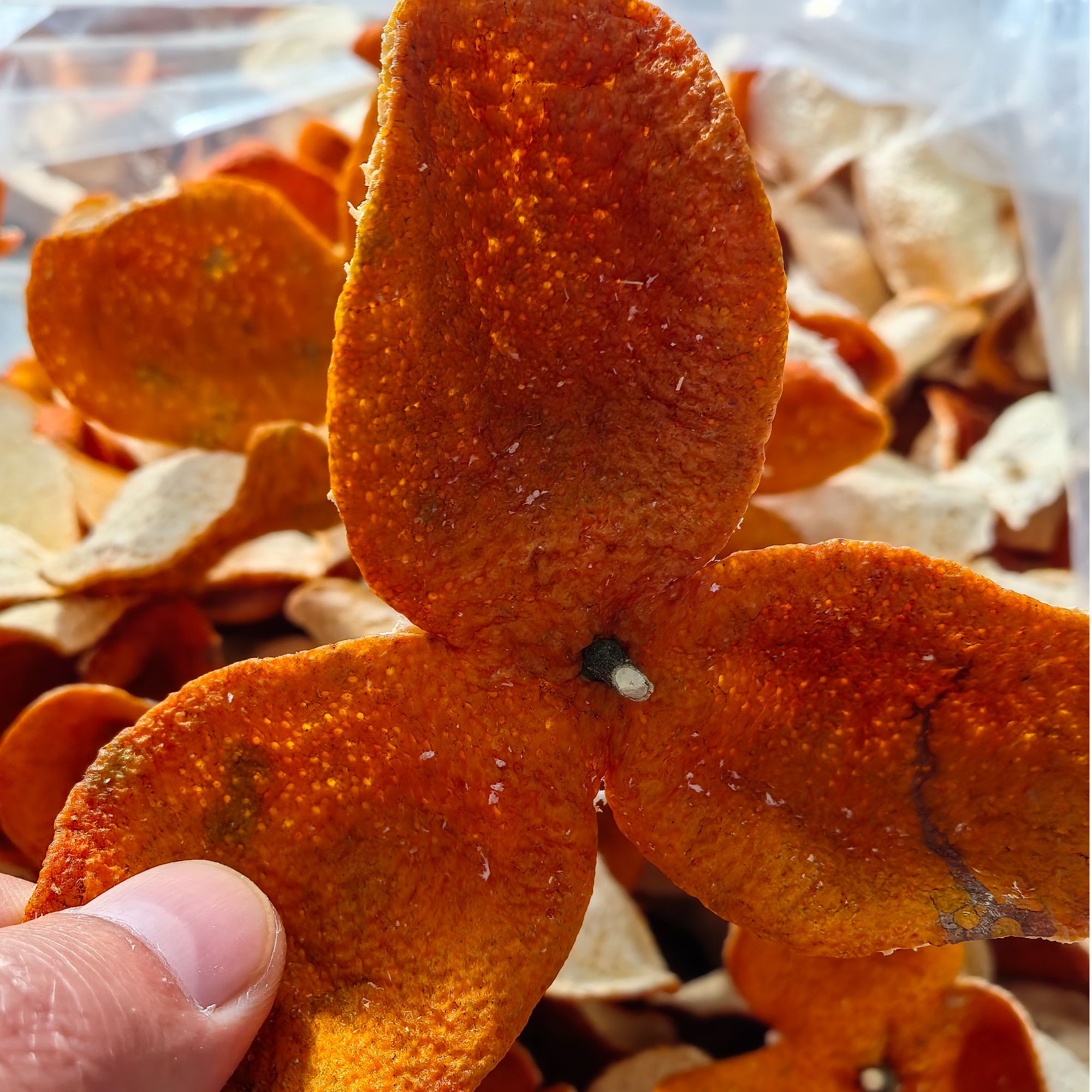 广西浦北陈皮 2025冬后大红皮   十五年树龄  自然生晒