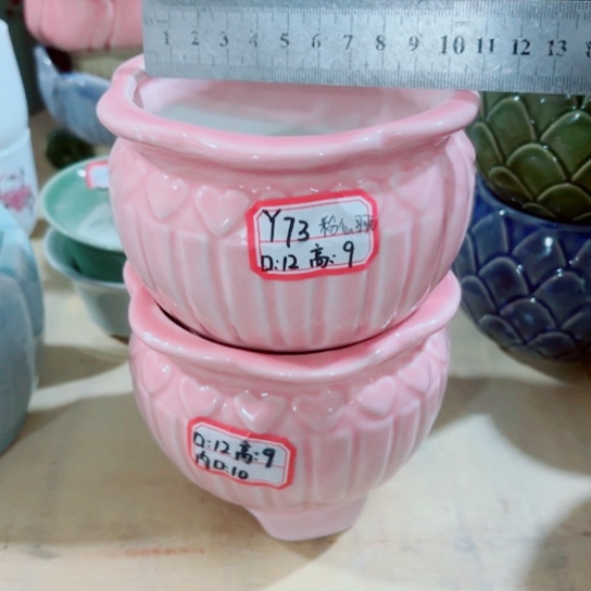 红陶111111111111111111