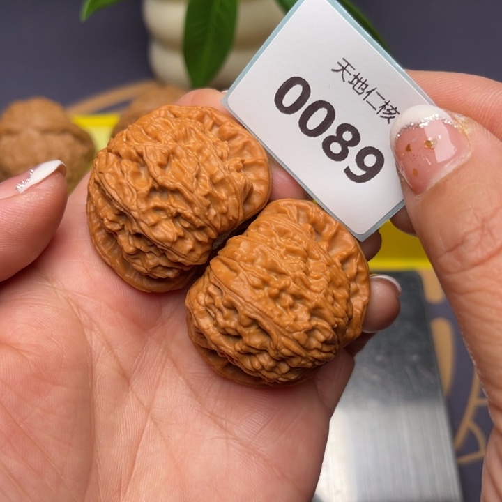 文玩核桃把件41白狮子