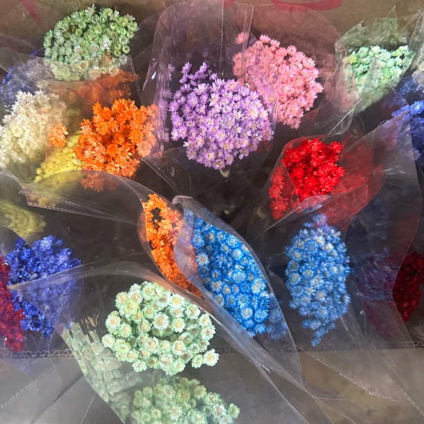 进口永生小星花做手工diy