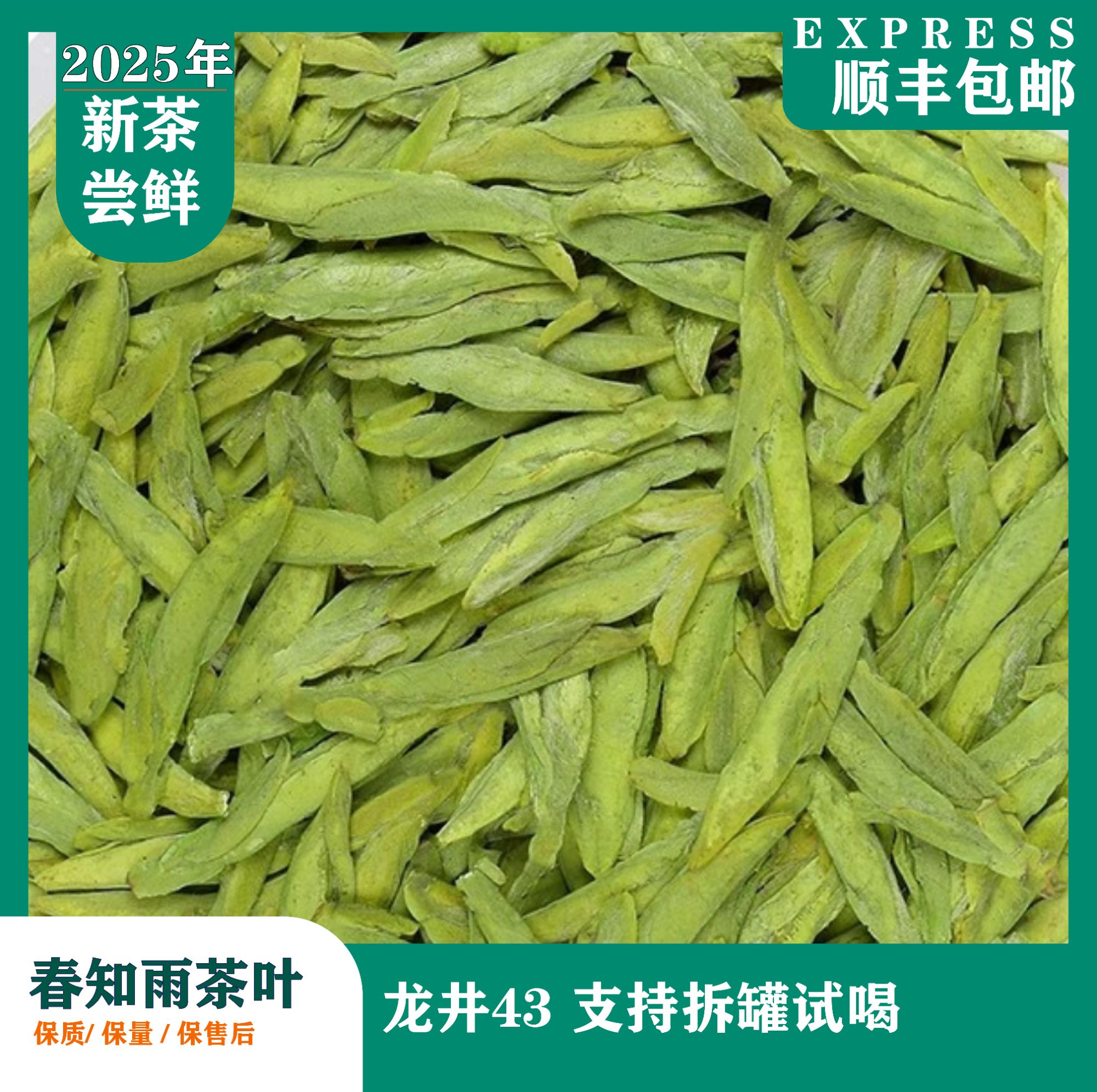 【春知雨推荐】2025新茶头采43号龙型扁茶