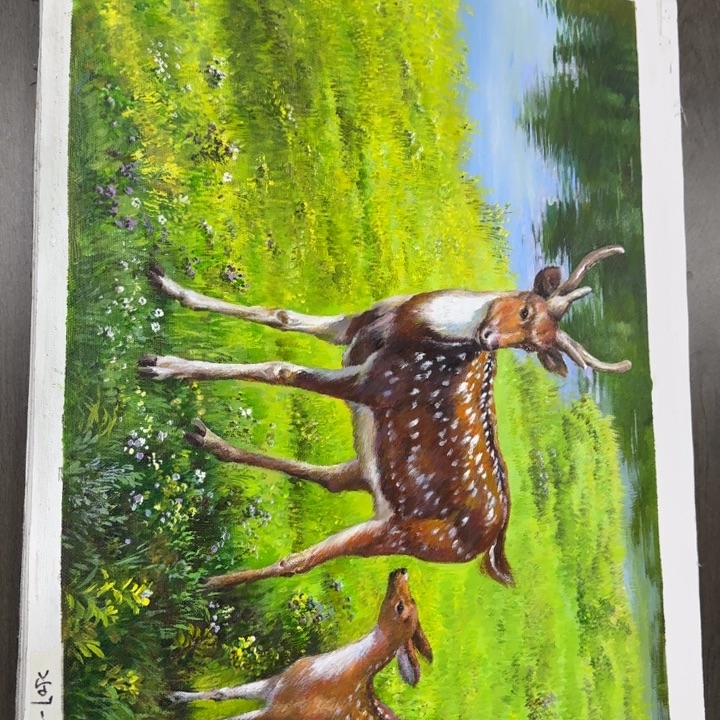 油画花花和你一起玩