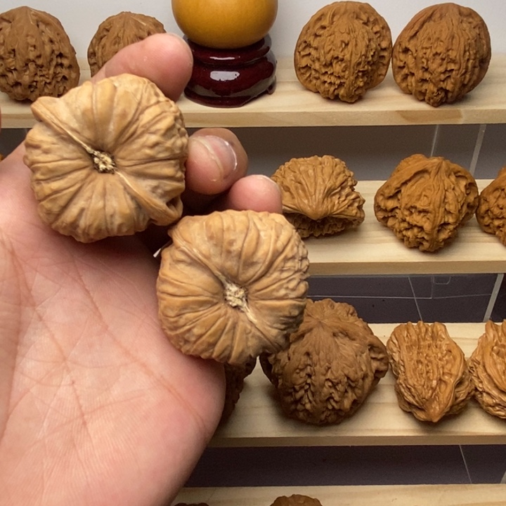 把件核桃大**东南瓜顿