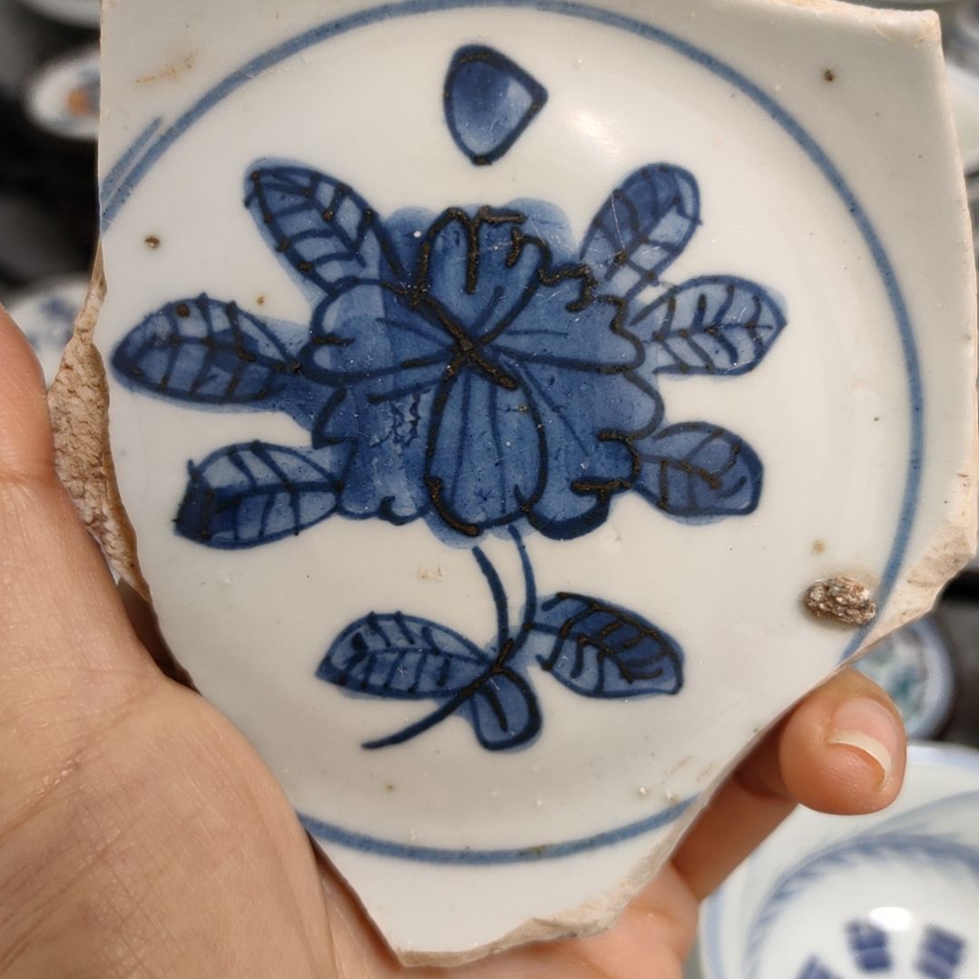 瓷片Y*n青花瓷片标本一个一个