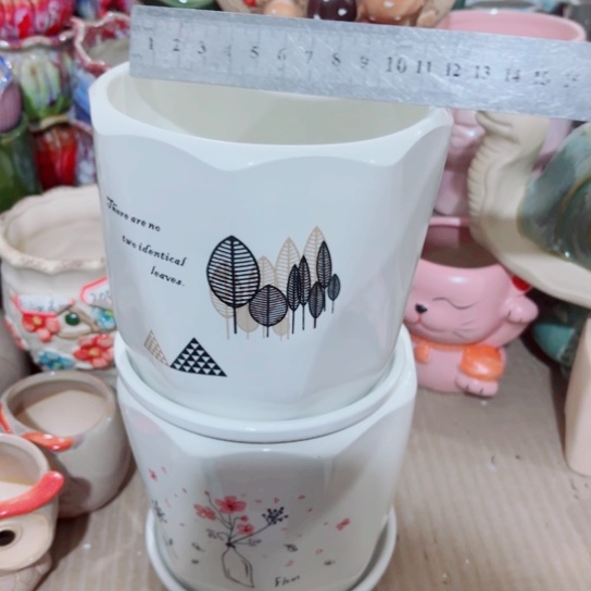 红陶111111111111111111