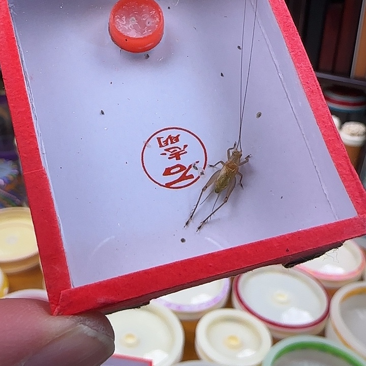 用***4我们的确是一个很好的朋友