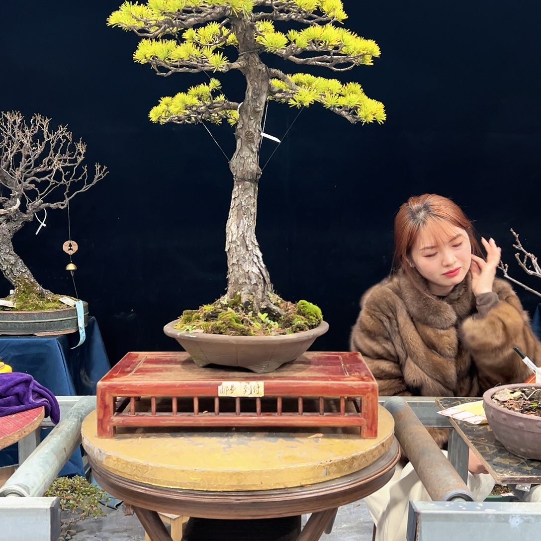 格***物无花朵杜鹃花的诗作是