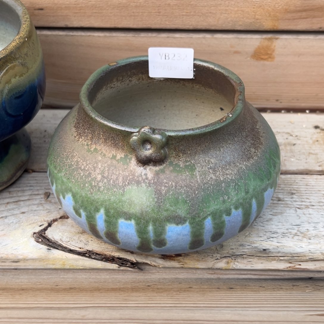 卞***璇1987多肉花盆特价场232