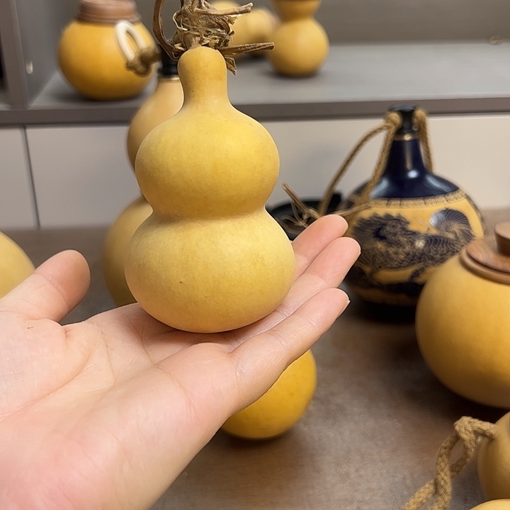 往***怀的摸摸哦我哦哦哦哦